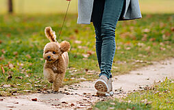 シエリアタワー南麻布 設備