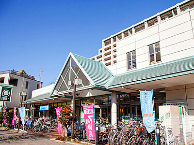ピーコックストア 花小金井店 G:約750m(徒歩10分)E:約750m(徒歩10分)