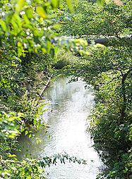 [周辺環境画像] 玉川上水緑道
G：約900m（徒歩12分）E：約1,080m（徒歩14分）