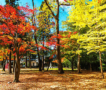 勝山公園 約650m(徒歩9分)
