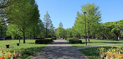 亀戸中央公園 A:約480m(徒歩6分)/B:約440m(徒歩6分)/C:約340m(徒歩5分)