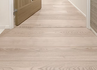 シティタワーズ板橋大山ノースタワー フラットフロア