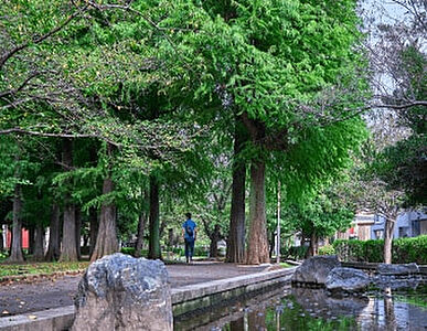 東綾瀬公園 約80m(徒歩1分)