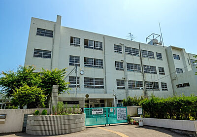 清和小学校［通学校］ 約260m（徒歩4分）