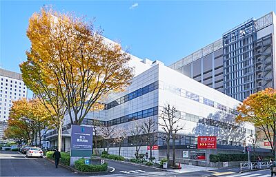 東京都立墨東病院 約960m（徒歩12分）
