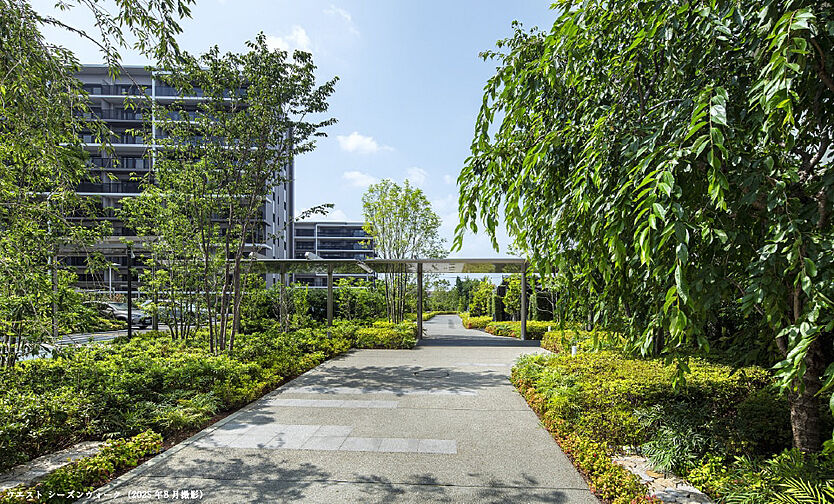 ソライエテラス　ウエスト 共用部