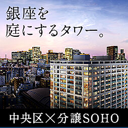 シティタワー銀座東(分譲SOHO） マンション画像