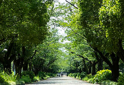 府中の森公園 約1,420m(徒歩18分)