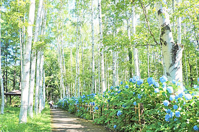 豊平公園 約600m（徒歩8分）