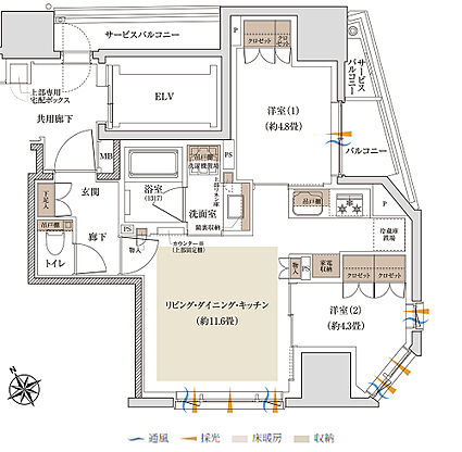 Brillia 文京関口 間取り D