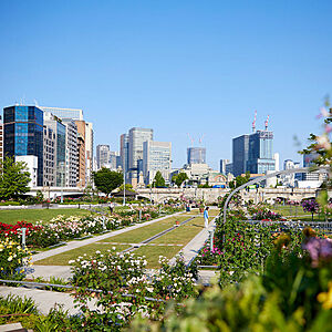 中之島公園 （徒歩9分）