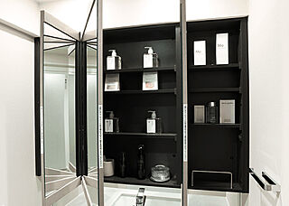 パークタワー品川天王洲 三面鏡裏収納