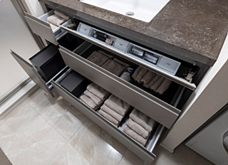 セントラルガーデン月島　ザ　タワー ボウル下開き収納（フロントポケット）