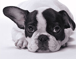 パークホームズ東高円寺 設備