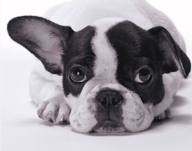 パークホームズ東高円寺 設備