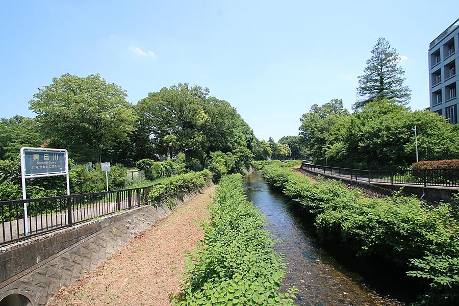 黒目川が近く、遊歩道沿いに豊かな水のせせらぎや緑の景観。