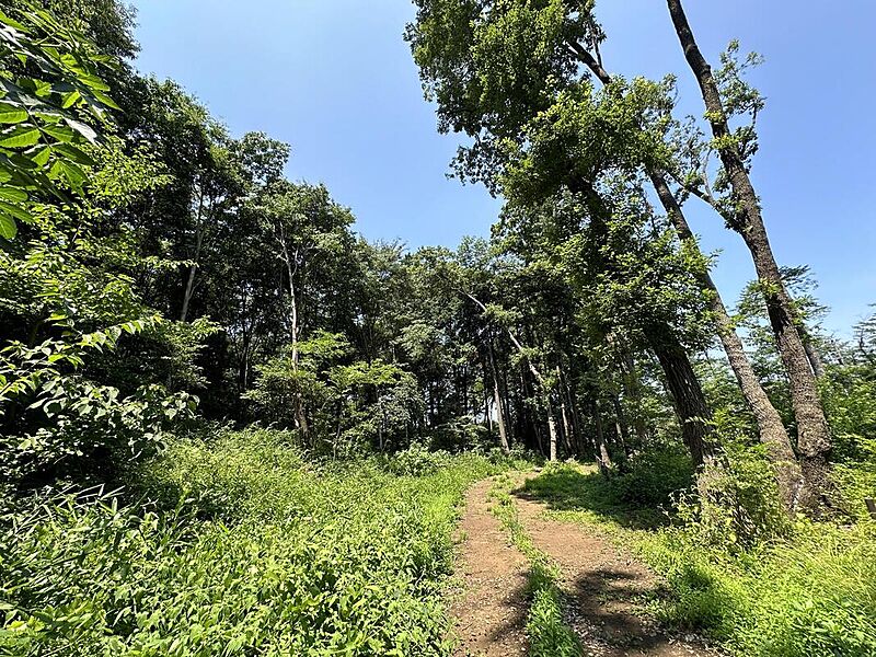 金山森の広場まで750m 徒歩10分。