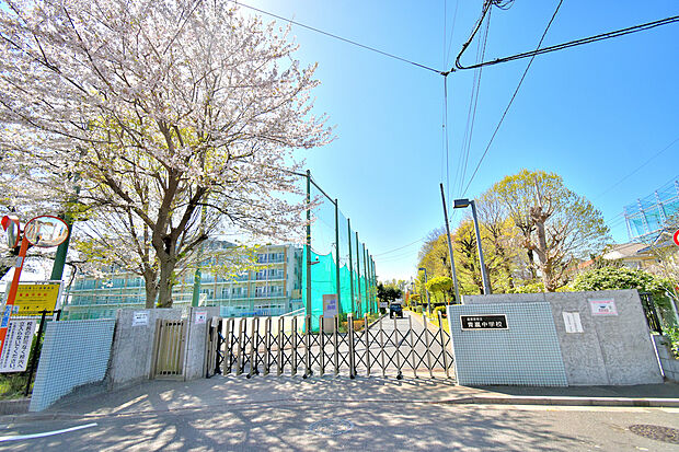 西東京市立青嵐中学校(約750m)