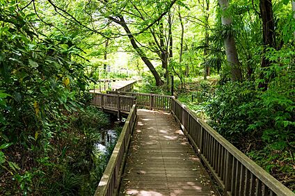 清瀬せせらぎ公園 250ｍ(徒歩4分)