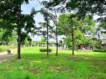 若葉公園 610ｍ(徒歩6分～8分)