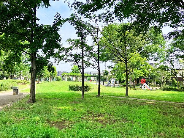 若葉公園(約610m)