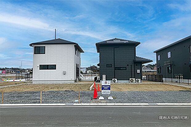 ［現地写真］