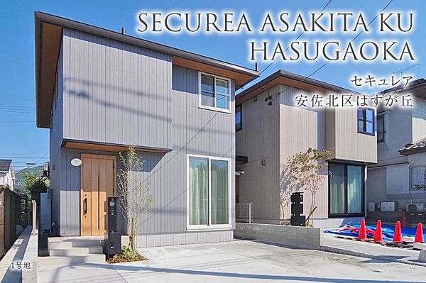 1号地
