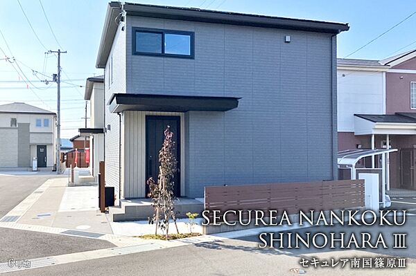 6号地
