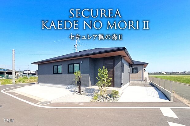 8号地