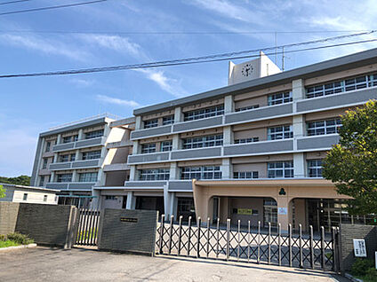 坂ノ市小学校 約410m