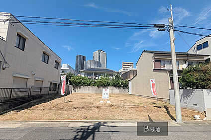 B号地 現地写真