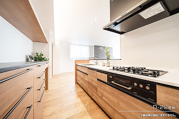 【D-22号地 キッチン】D-22号地