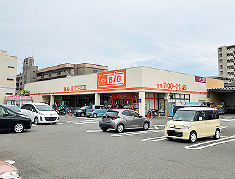 【買い物】ザ・ビッグ静岡新川店