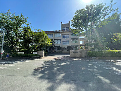 白山小学校 約800m