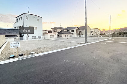 8号地 現地写真