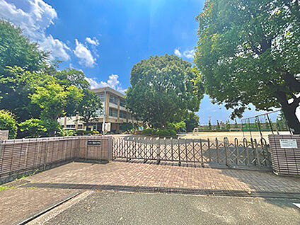 月出小学校 約450m
