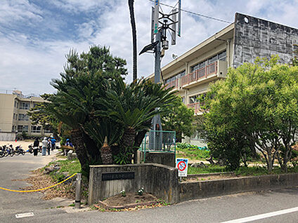長島中部小学校 約1130m