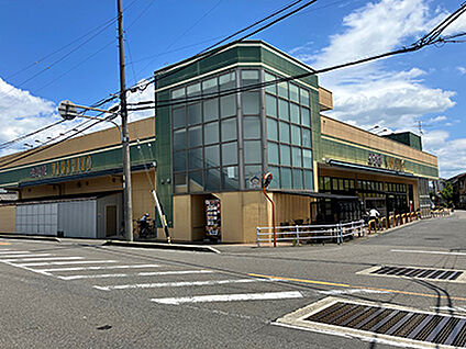 生鮮館やまひこ岩倉店 約514m