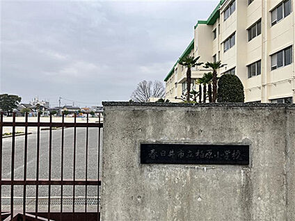 柏原小学校 約590m