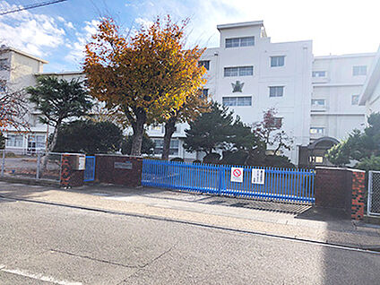 南部小学校 約170m