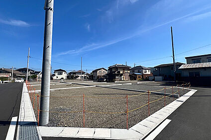 4号地 現地写真