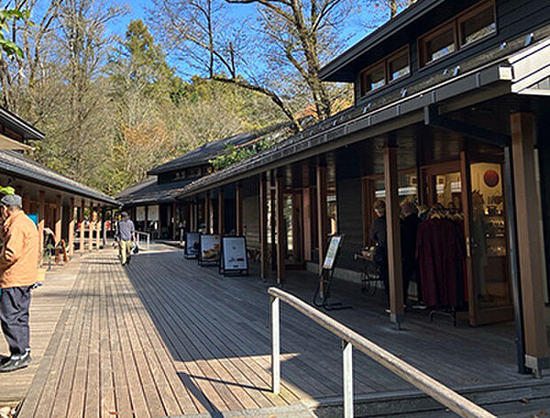 ハルニレテラス