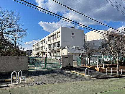 神戸市立箕谷小学校 約820m