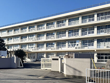 富士市立田子浦中学校 約1000m