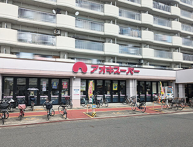 アオキスーパー鳥森店