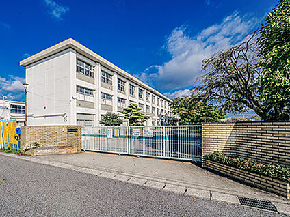 竹村小学校 約590m