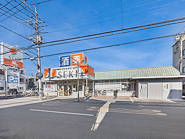 ドラッグストアセキ赤山町店