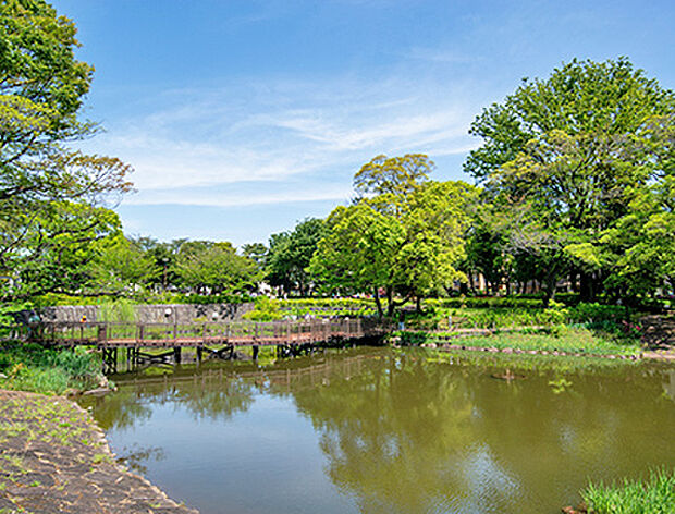 文庫の森