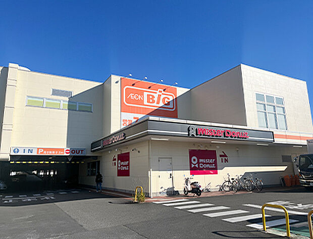 ザ・ビッグ藤枝田沼店
