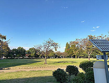 西部公園 約550m